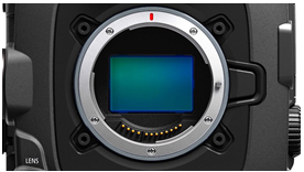 Canon 24K Sensor