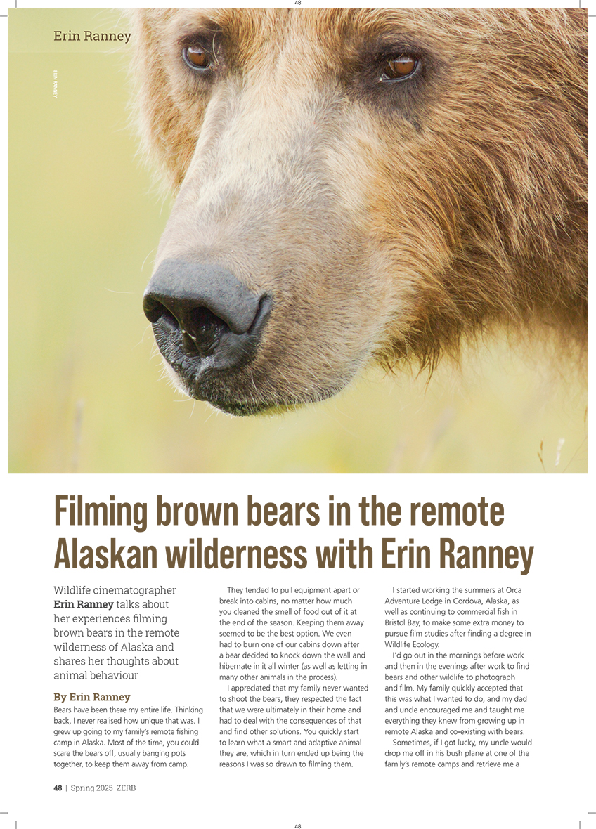 Erin Ranney filming bears in Alaska